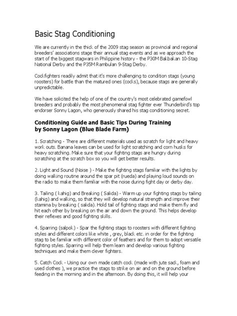 Stag Conditioning Guide and Basic Tips During Training by.